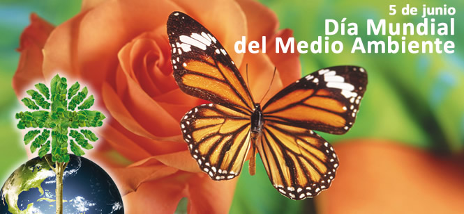 05junio13