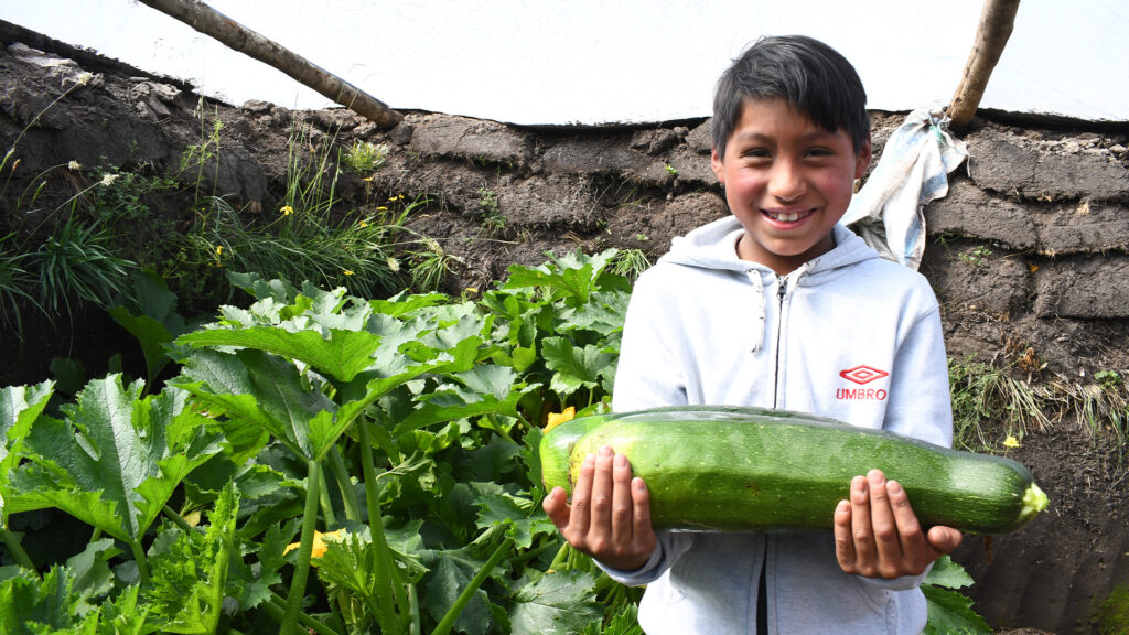 En Bolívar: las familias reciben apoyo en educación, seguridad alimentaria y se capacitan en prevención de violencia de género