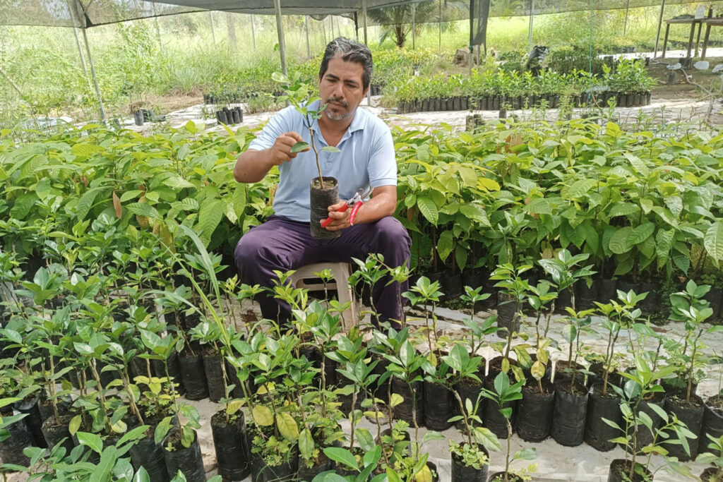 Cáritas Aguarico: vivero genera recursos para servir a las familias vulnerables y cuidar la Casa Común